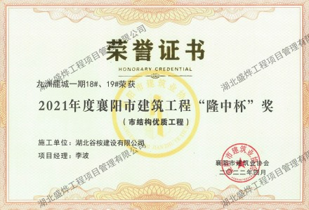 九州龍城18#、19#楼办公楼“隆中杯”奖（市结构优质工程）