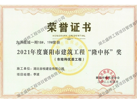 九州龍城18#、19#楼办公楼“隆中杯”奖（市结构优质工程）