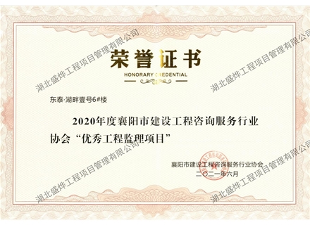 湖畔壹号6#楼优秀工程监理项目