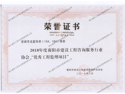龙庭华府15#、16#优秀工程监理项目