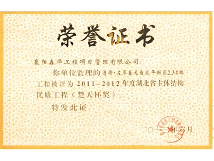 左岸春天自求平衡区2.3#楼 楚天杯奖 主体结构优质工程