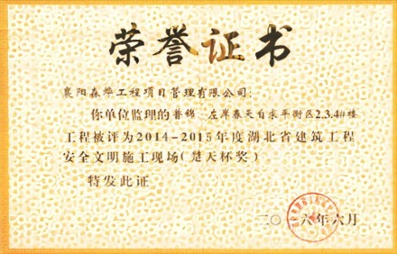 左岸春天自求潘平衡区2.3.4#楼工程 楚天杯奖 安全文明施工现场