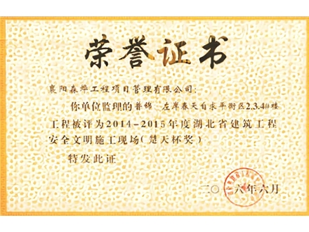 左岸春天自求潘平衡区2.3.4#楼工程 楚天杯奖 安全文明施工现场