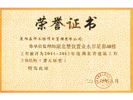 水岸星都4#楼 楚天杯奖