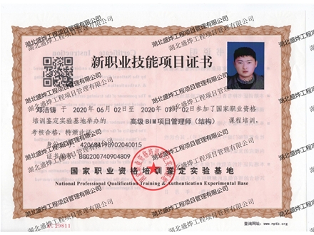 高级BIM项目管理师