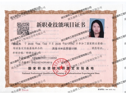 高级BIM项目管理师