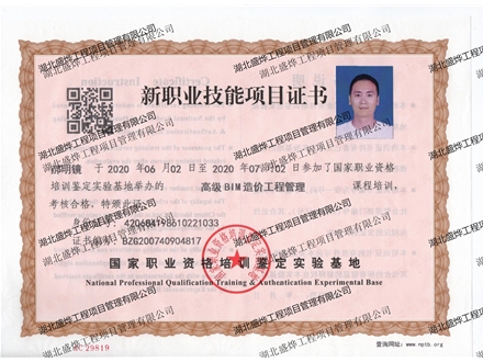 高级BIM项目管理师
