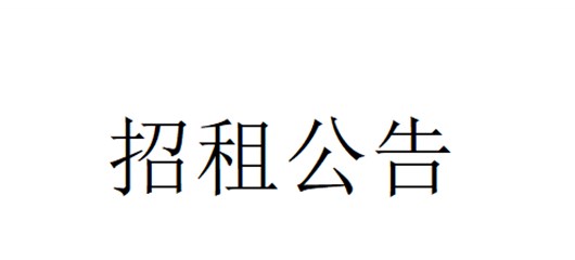 宜城市产业园区发展投资有限公司资产（大成仁和）招租公告