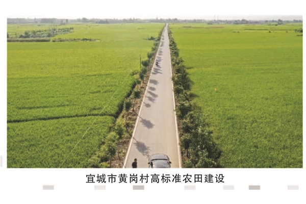 宜城市黄岗村高标准农田建设
