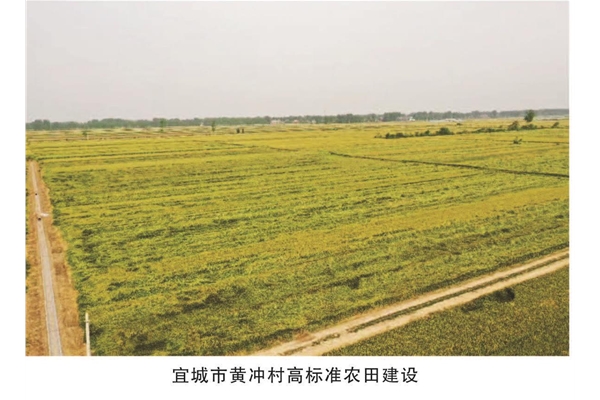 宜城市黄冲村高标准农田