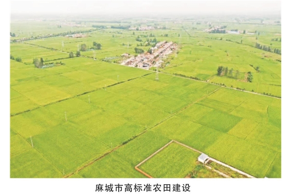 麻城市高标准农田建设