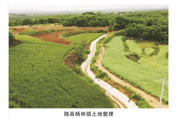 随县杨林镇土地整理